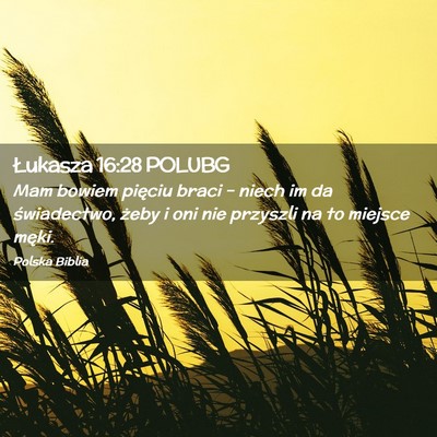 Picture 02 - Łukasza 16:28 POLUBG - Mam bowiem pięciu braci – niech im da - Bible Verse Picture