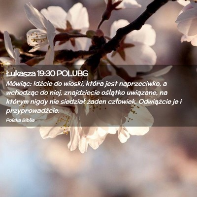 Picture 02 - Łukasza 19:30 POLUBG - Mówiąc: Idźcie do wioski, która jest - Bible Verse Picture