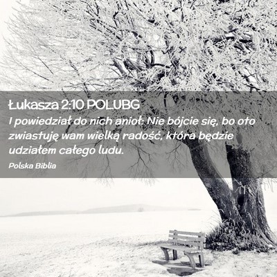 Picture 02 - Łukasza 2:10 POLUBG - I powiedział do nich anioł: Nie bójcie się, - Bible Verse Picture
