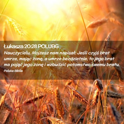 Picture 02 - Łukasza 20:28 POLUBG - Nauczycielu, Mojżesz nam napisał: Jeśli czyjś - Bible Verse Picture