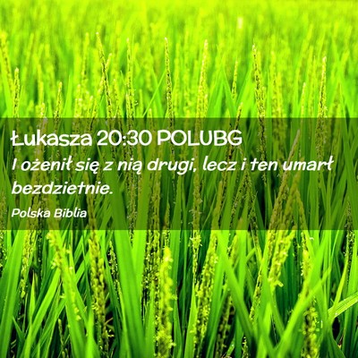Picture 02 - Łukasza 20:30 POLUBG - I ożenił się z nią drugi, lecz i ten umarł - Bible Verse Picture