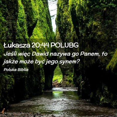 Picture 02 - Łukasza 20:44 POLUBG - Jeśli więc Dawid nazywa go Panem, to jakże - Bible Verse Picture