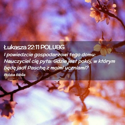 Picture 02 - Łukasza 22:11 POLUBG - I powiedzcie gospodarzowi tego domu: Nauczyciel - Bible Verse Picture