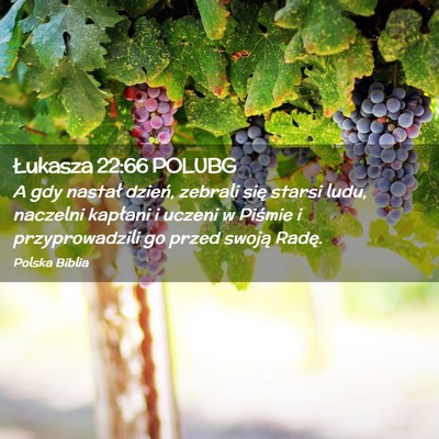 Picture 02 - Łukasza 22:66 POLUBG - A gdy nastał dzień, zebrali się starsi ludu, - Bible Verse Picture