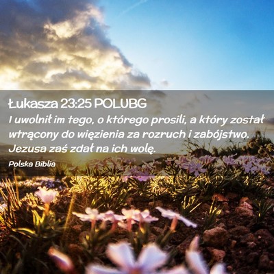 Picture 02 - Łukasza 23:25 POLUBG - I uwolnił im tego, o którego prosili, a który - Bible Verse Picture