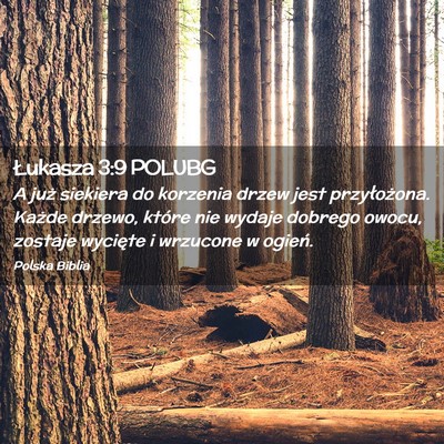 Picture 02 - Łukasza 3:9 POLUBG - A już siekiera do korzenia drzew jest - Bible Verse Picture