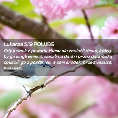 Picture 02 - Łukasza 5:19 POLUBG - Gdy jednak z powodu tłumu nie znaleźli drogi, - Bible Verse Picture