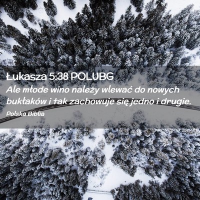 Picture 02 - Łukasza 5:38 POLUBG - Ale młode wino należy wlewać do nowych - Bible Verse Picture