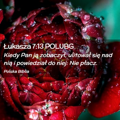 Picture 02 - Łukasza 7:13 POLUBG - Kiedy Pan ją zobaczył, ulitował się nad nią - Bible Verse Picture