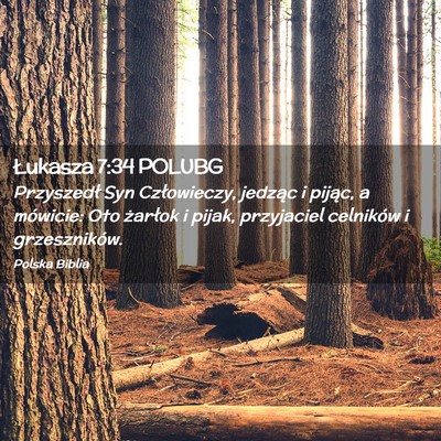 Picture 02 - Łukasza 7:34 POLUBG - Przyszedł Syn Człowieczy, jedząc i pijąc, a - Bible Verse Picture