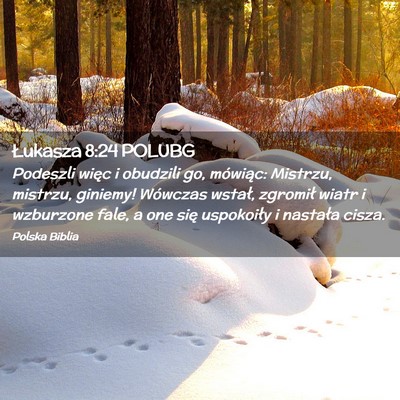 Picture 02 - Łukasza 8:24 POLUBG - Podeszli więc i obudzili go, mówiąc: Mistrzu, - Bible Verse Picture