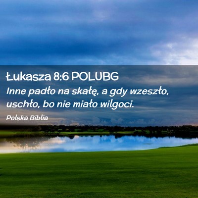 Picture 02 - Łukasza 8:6 POLUBG - Inne padło na skałę, a gdy wzeszło, uschło, - Bible Verse Picture