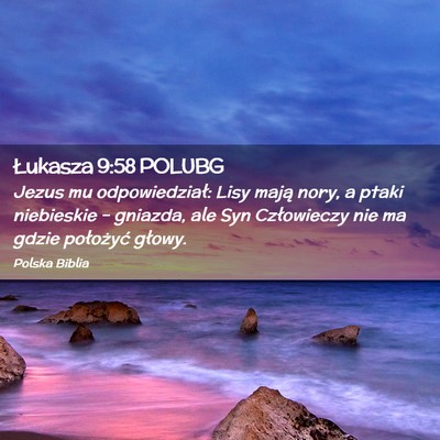 Picture 02 - Łukasza 9:58 POLUBG - Jezus mu odpowiedział: Lisy mają nory, a ptaki - Bible Verse Picture