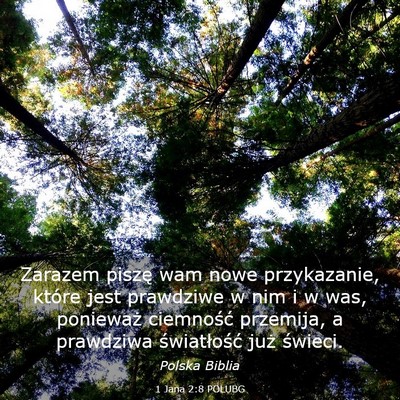 Picture 03 - 1 Jana 2:8 POLUBG - Zarazem piszę wam nowe przykazanie, które jest - Bible Verse Picture