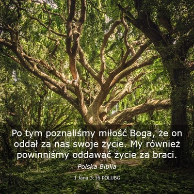 Picture 03 - 1 Jana 3:16 POLUBG - Po tym poznaliśmy miłość Boga, że on oddał - Bible Verse Picture
