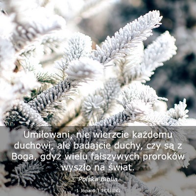 Picture 03 - 1 Jana 4:1 POLUBG - Umiłowani, nie wierzcie każdemu duchowi, ale - Bible Verse Picture