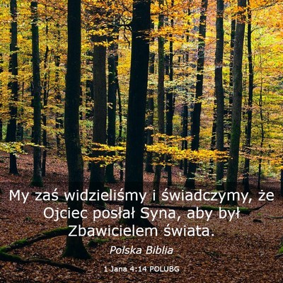Picture 03 - 1 Jana 4:14 POLUBG - My zaś widzieliśmy i świadczymy, że Ojciec - Bible Verse Picture