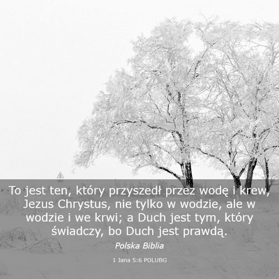 Picture 03 - 1 Jana 5:6 POLUBG - To jest ten, który przyszedł przez wodę i - Bible Verse Picture