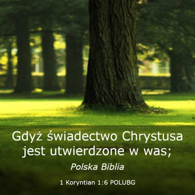 Picture 03 - 1 Koryntian 1:6 POLUBG - Gdyż świadectwo Chrystusa jest utwierdzone w - Bible Verse Picture