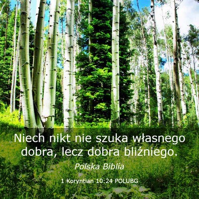 Picture 03 - 1 Koryntian 10:24 POLUBG - Niech nikt nie szuka własnego dobra, lecz dobra - Bible Verse Picture