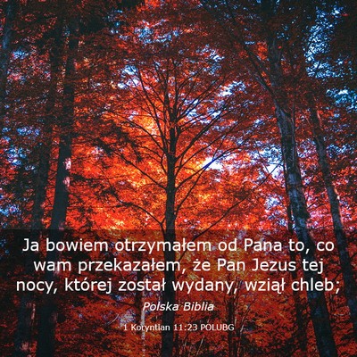 Picture 03 - 1 Koryntian 11:23 POLUBG - Ja bowiem otrzymałem od Pana to, co wam - Bible Verse Picture