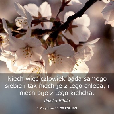 Picture 03 - 1 Koryntian 11:28 POLUBG - Niech więc człowiek bada samego siebie i tak - Bible Verse Picture