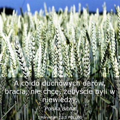 Picture 03 - 1 Koryntian 12:1 POLUBG - A co do duchowych darów, bracia, nie chcę, - Bible Verse Picture