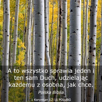 Picture 03 - 1 Koryntian 12:11 POLUBG - A to wszystko sprawia jeden i ten sam Duch, - Bible Verse Picture