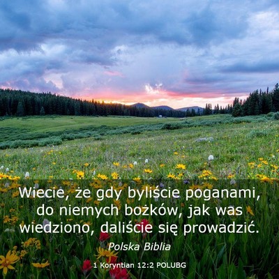 Picture 03 - 1 Koryntian 12:2 POLUBG - Wiecie, że gdy byliście poganami, do niemych - Bible Verse Picture