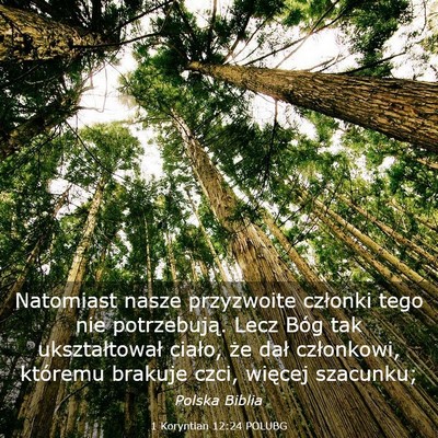 Picture 03 - 1 Koryntian 12:24 POLUBG - Natomiast nasze przyzwoite członki tego nie - Bible Verse Picture