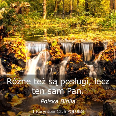 Picture 03 - 1 Koryntian 12:5 POLUBG - Różne też są posługi, lecz ten sam - Bible Verse Picture