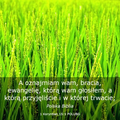 Picture 03 - 1 Koryntian 15:1 POLUBG - A oznajmiam wam, bracia, ewangelię, którą wam - Bible Verse Picture