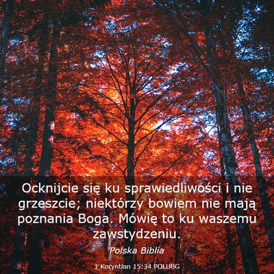 Picture 03 - 1 Koryntian 15:34 POLUBG - Ocknijcie się ku sprawiedliwości i nie - Bible Verse Picture