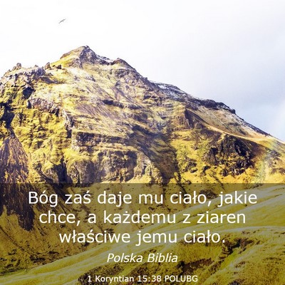 Picture 03 - 1 Koryntian 15:38 POLUBG - Bóg zaś daje mu ciało, jakie chce, a każdemu - Bible Verse Picture