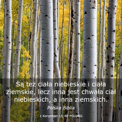 Picture 03 - 1 Koryntian 15:40 POLUBG - Są też ciała niebieskie i ciała ziemskie, - Bible Verse Picture