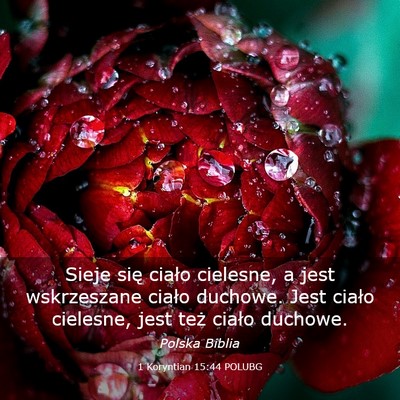Picture 03 - 1 Koryntian 15:44 POLUBG - Sieje się ciało cielesne, a jest wskrzeszane - Bible Verse Picture