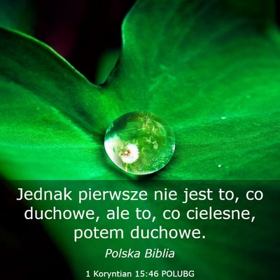 Picture 03 - 1 Koryntian 15:46 POLUBG - Jednak pierwsze nie jest to, co duchowe, ale to, - Bible Verse Picture