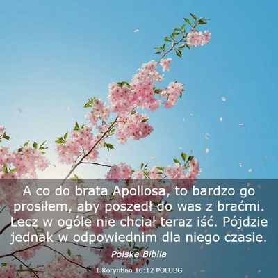 Picture 03 - 1 Koryntian 16:12 POLUBG - A co do brata Apollosa, to bardzo go prosiłem, - Bible Verse Picture