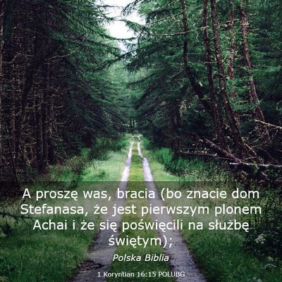 Picture 03 - 1 Koryntian 16:15 POLUBG - A proszę was, bracia (bo znacie dom Stefanasa, - Bible Verse Picture