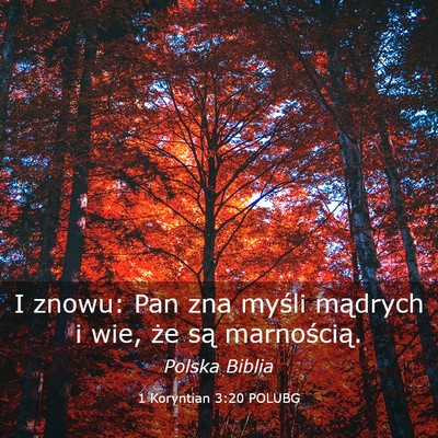 Picture 03 - 1 Koryntian 3:20 POLUBG - I znowu: Pan zna myśli mądrych i wie, że są - Bible Verse Picture