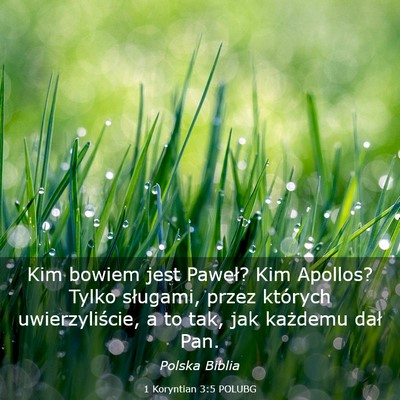 Picture 03 - 1 Koryntian 3:5 POLUBG - Kim bowiem jest Paweł? Kim Apollos? Tylko - Bible Verse Picture