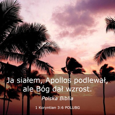 Picture 03 - 1 Koryntian 3:6 POLUBG - Ja siałem, Apollos podlewał, ale Bóg dał - Bible Verse Picture