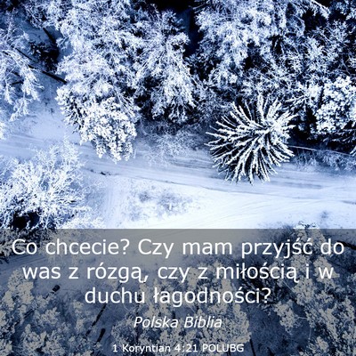 Picture 03 - 1 Koryntian 4:21 POLUBG - Co chcecie? Czy mam przyjść do was z rózgą, - Bible Verse Picture