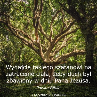 Picture 03 - 1 Koryntian 5:5 POLUBG - Wydajcie takiego szatanowi na zatracenie ciała, - Bible Verse Picture