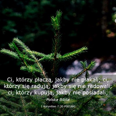 Picture 03 - 1 Koryntian 7:30 POLUBG - Ci, którzy płaczą, jakby nie płakali; ci, - Bible Verse Picture