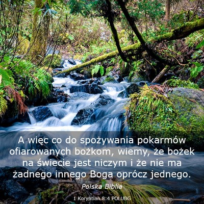 Picture 03 - 1 Koryntian 8:4 POLUBG - A więc co do spożywania pokarmów ofiarowanych - Bible Verse Picture