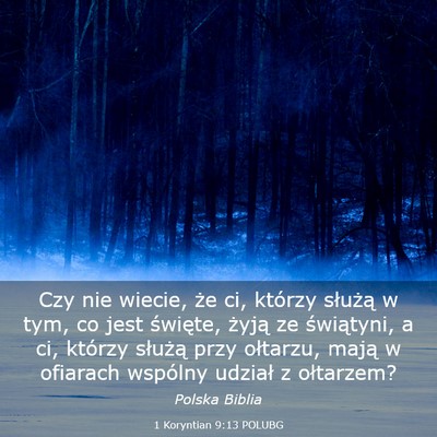 Picture 03 - 1 Koryntian 9:13 POLUBG - Czy nie wiecie, że ci, którzy służą w tym, - Bible Verse Picture