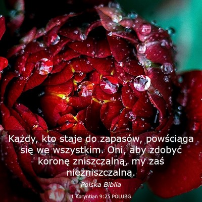 Picture 03 - 1 Koryntian 9:25 POLUBG - Każdy, kto staje do zapasów, powściąga się - Bible Verse Picture