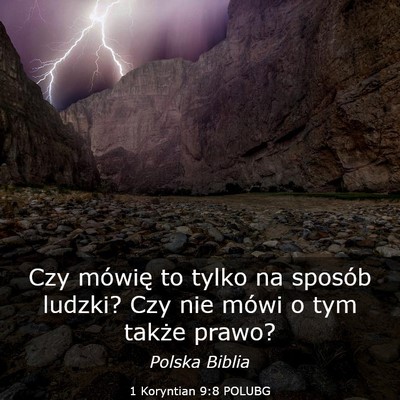 Picture 03 - 1 Koryntian 9:8 POLUBG - Czy mówię to tylko na sposób ludzki? Czy nie - Bible Verse Picture