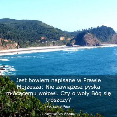 Picture 03 - 1 Koryntian 9:9 POLUBG - Jest bowiem napisane w Prawie Mojżesza: Nie - Bible Verse Picture